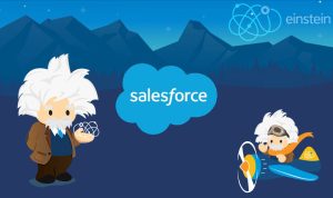 Salesforce Einstein an ai tool interface